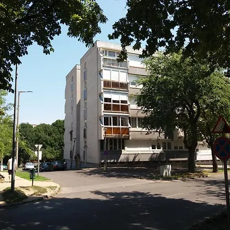 Malnas Macska アパート *