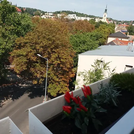 Malnas Macska Appartement *