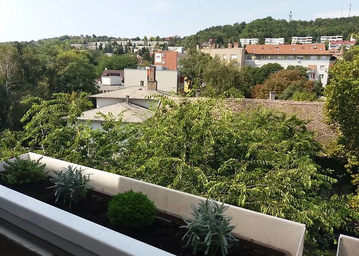Malnas Macska Appartement Szekszárd
